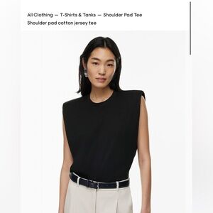 Aritzia Tee Shirt